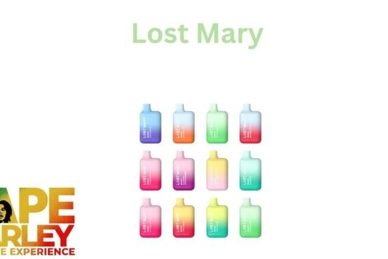 lost mary vape