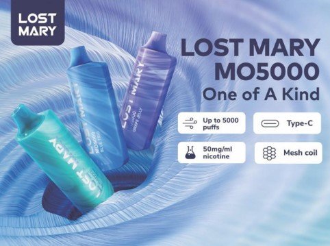 Lost Mary