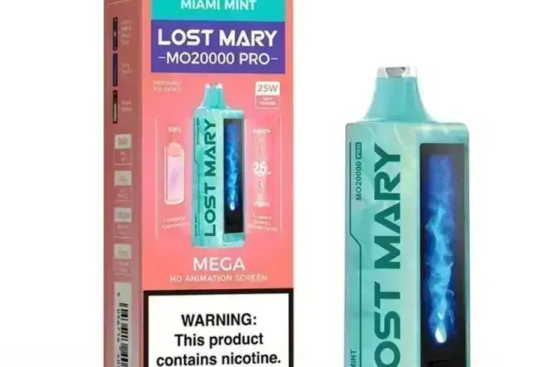Lost Mary