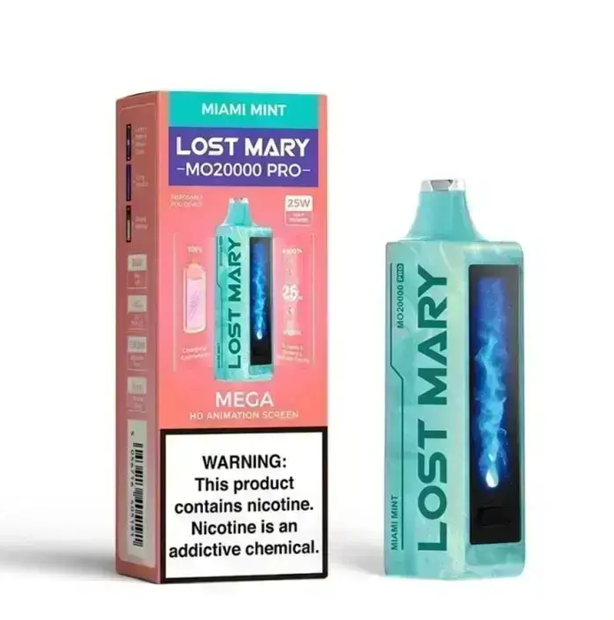 Lost Mary